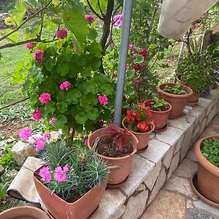 Ilias Family Rooms Химара Экстерьер фото